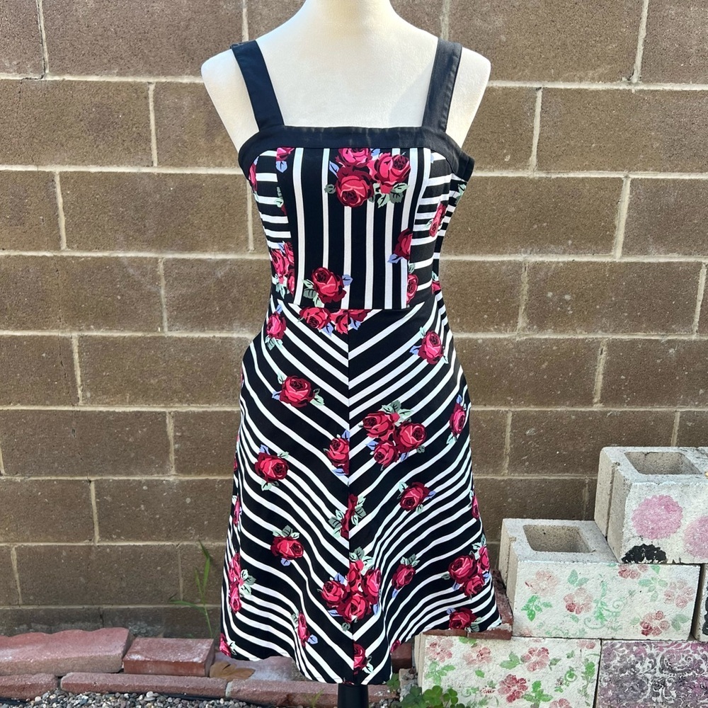 MODCLOTH Bea & Dot Rose Stripe Mini Fit & Flare Floral Dress Size XS